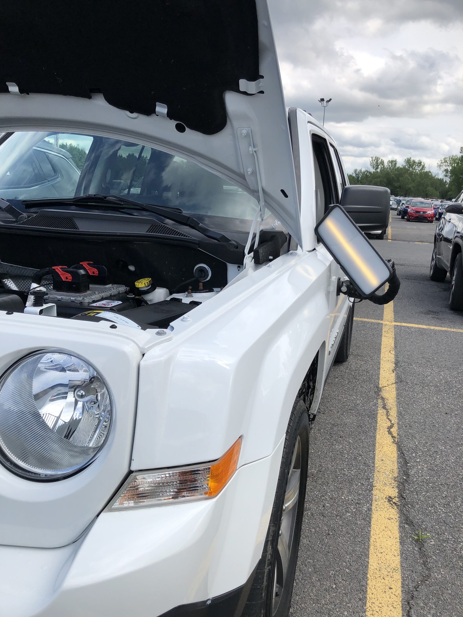 Dent Raptor Auto listing photograph