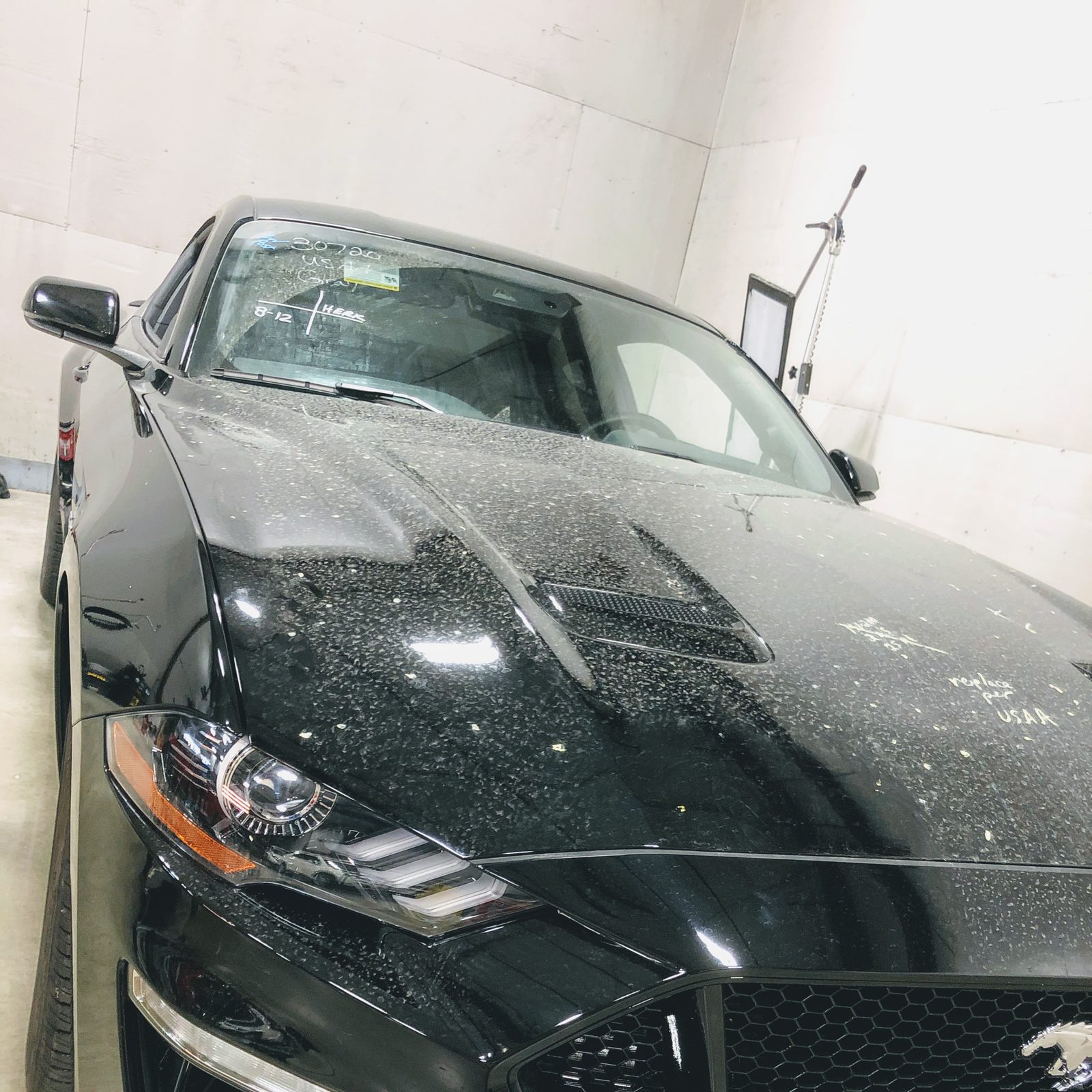 Dent Raptor Auto listing photograph